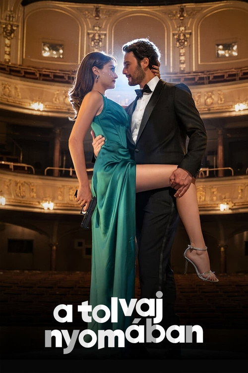 A tolvaj nyomában poszter