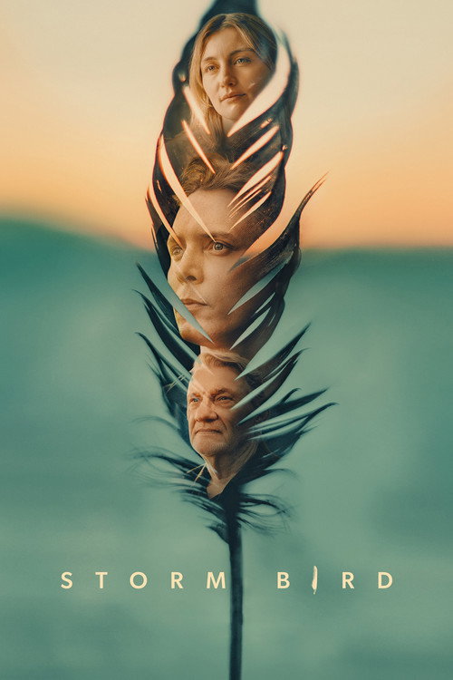 Storm Bird poszter